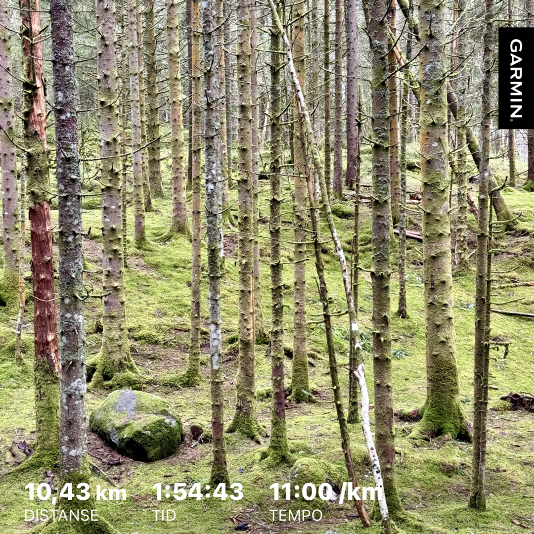 Ettermiddag-kveldstur Kårevik – Skjepåsen – Tveita – Krakateigen – Valvatna – Heiane – Horneland