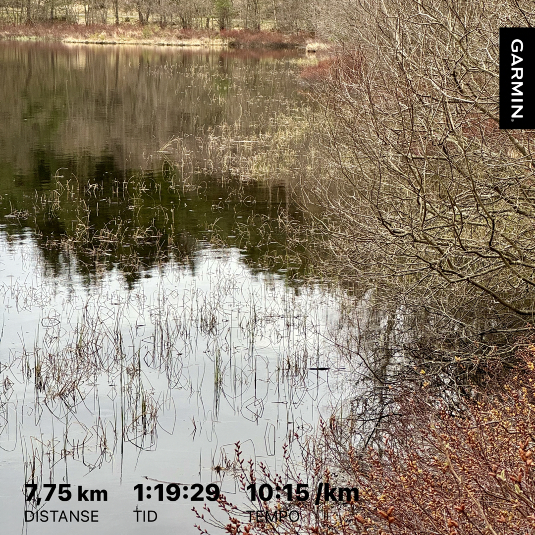Kveldstur Skjepåsen – Eventyrskogen – Landåsen – Vassenden