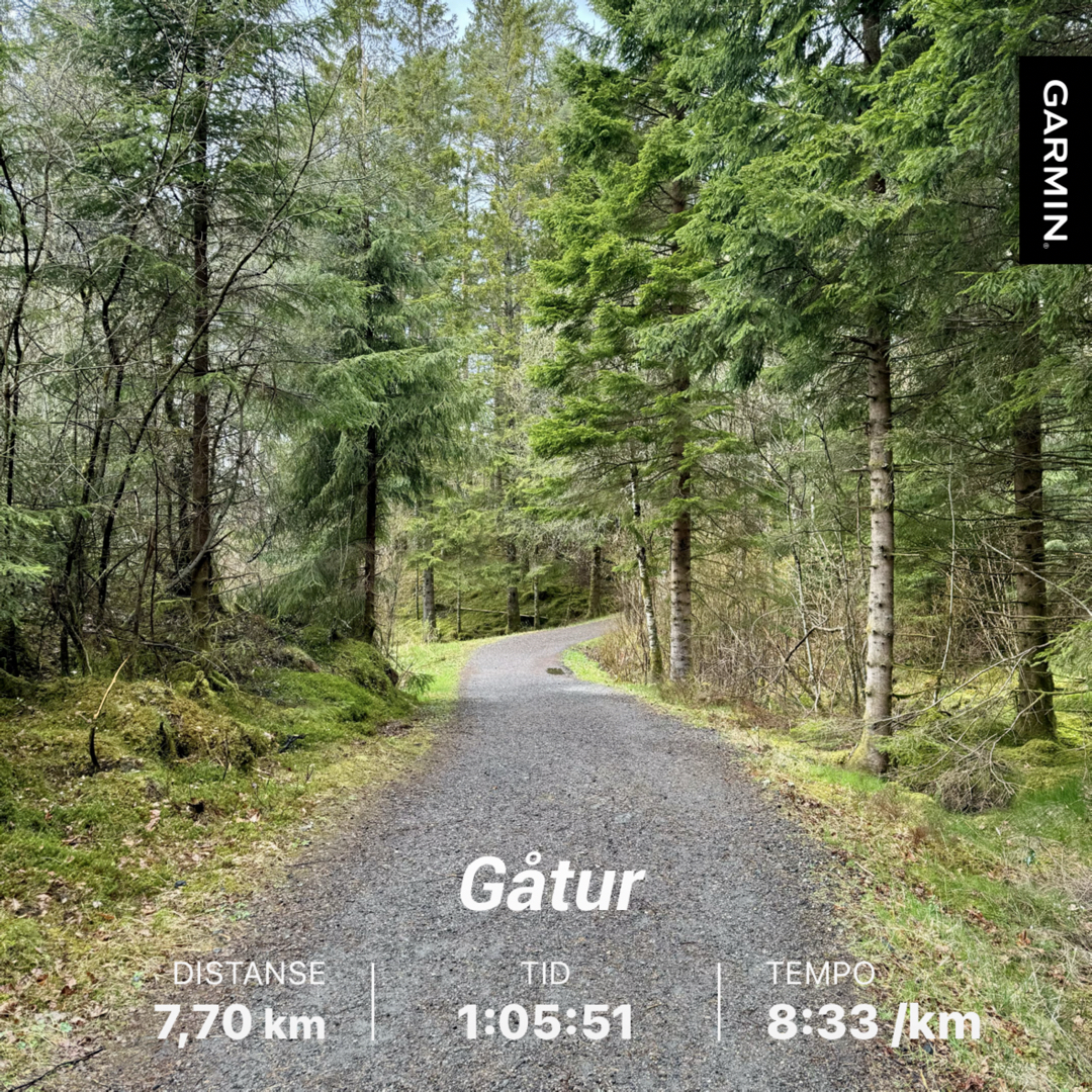 Ettermiddagstur i Skjepåsen – Eventyrskogen – Landåsen – Vassenden