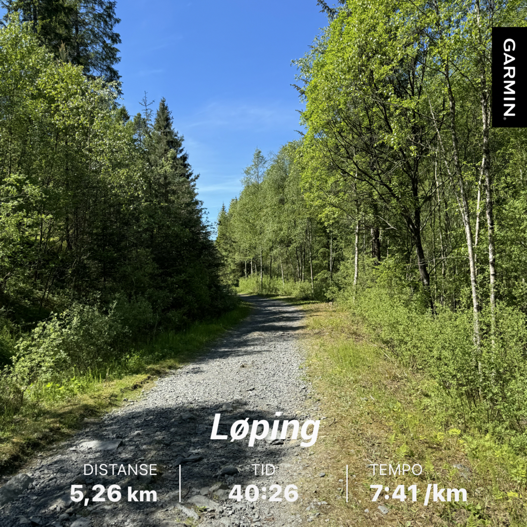 Årets første utendørs joggetur: Skjepåsen – Valvatna – Heiane
