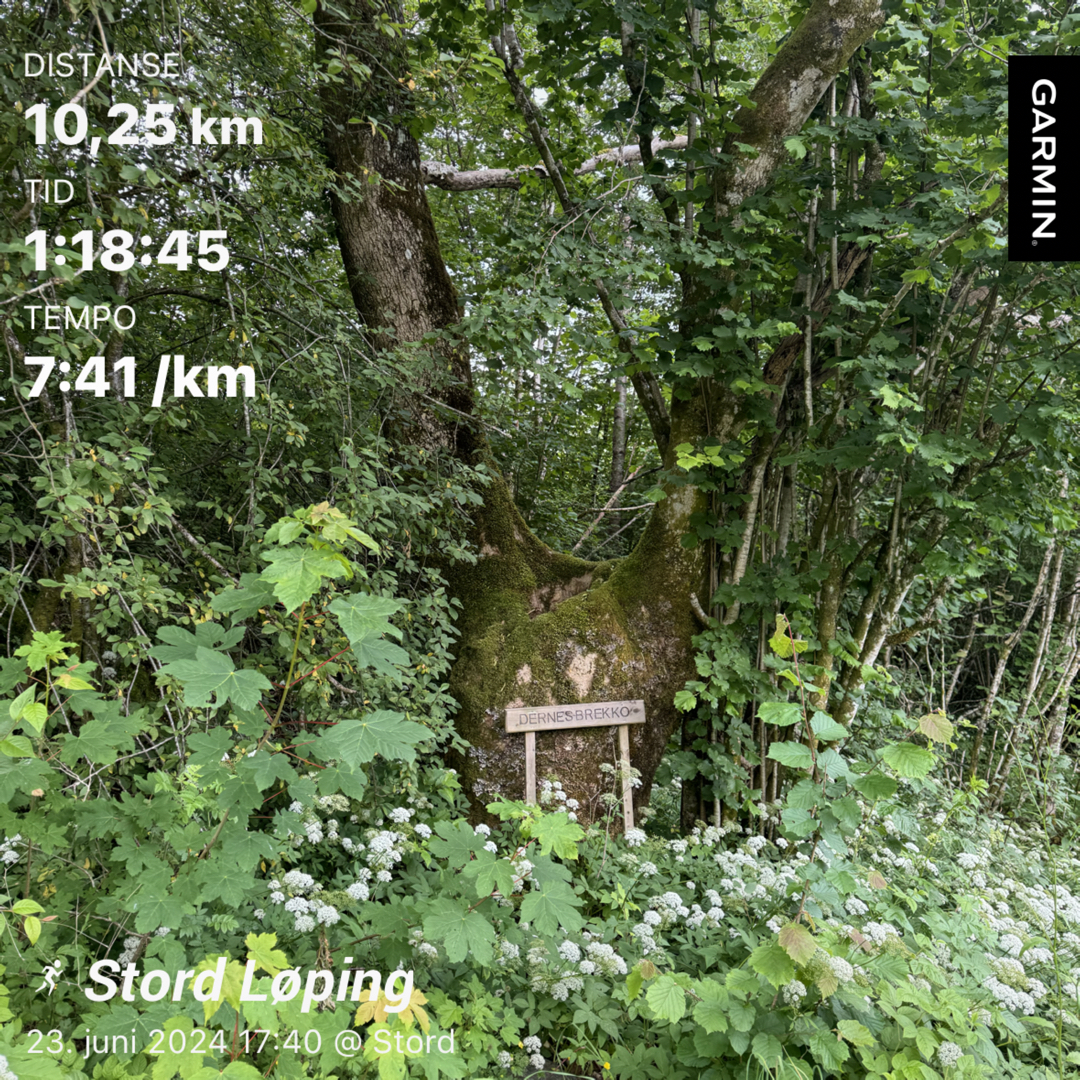 Nr. 9, og 10k nr. 2