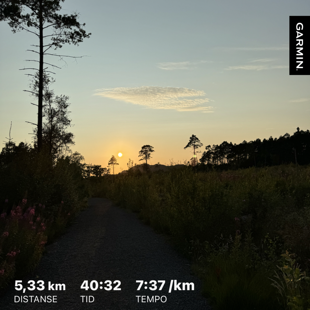 En midt på treet 5k