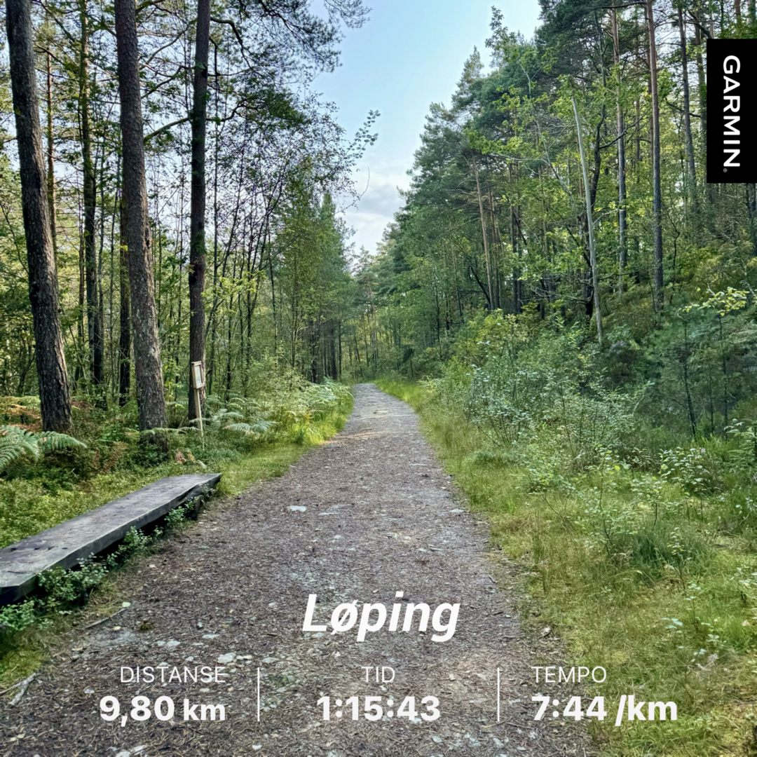 Nesten 10k
