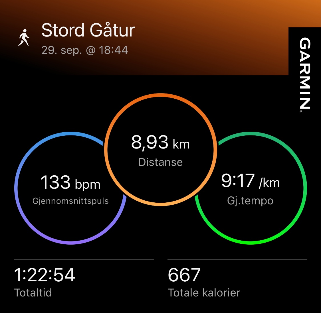 Spasertur
